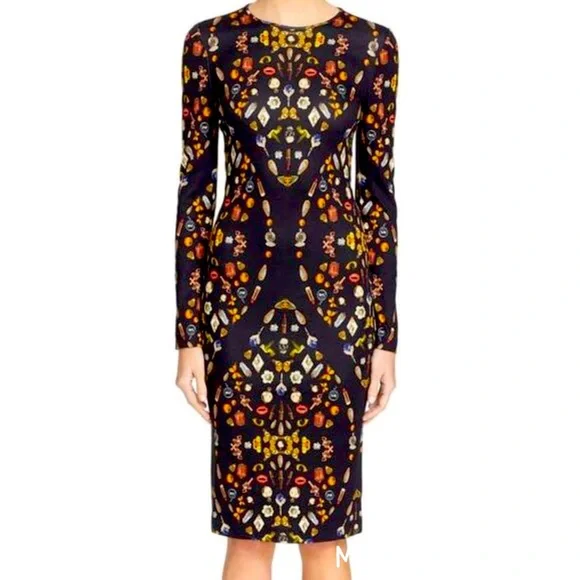 Alexander McQueen Dresses Alexander Mcqueen Obsession Dress